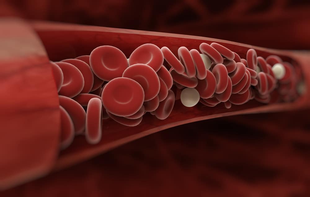 sel darah merah trombosit