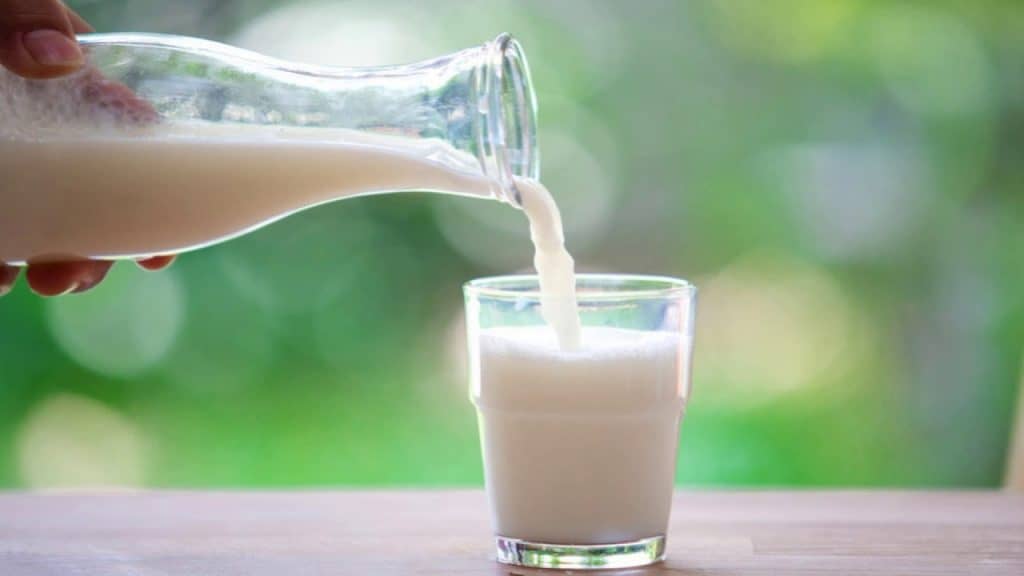 susu untuk osteoporosis